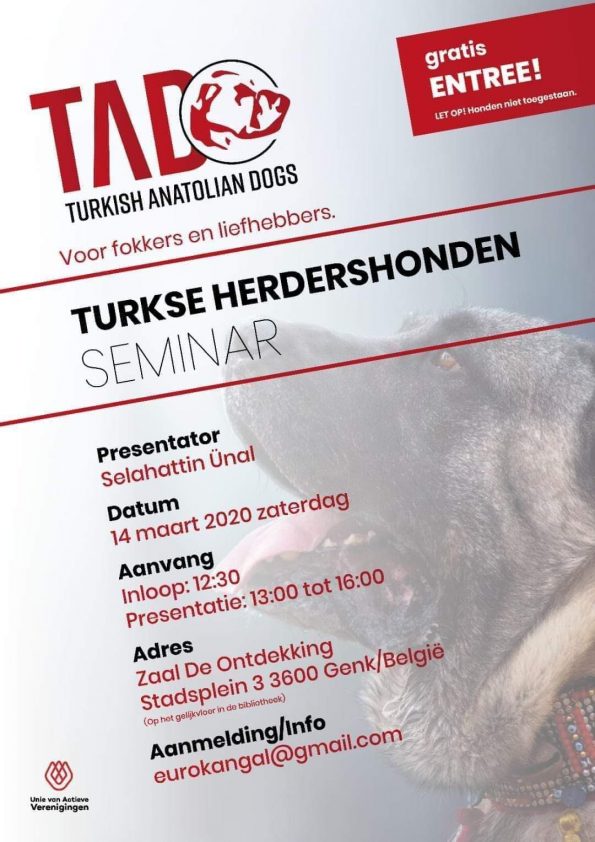 Seminarie Turkse Herdershonden
