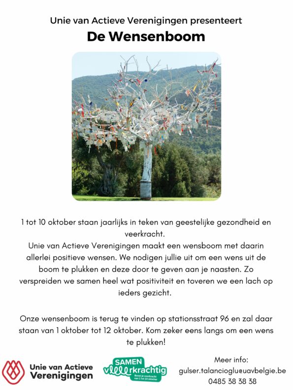 Veerkrachtboom