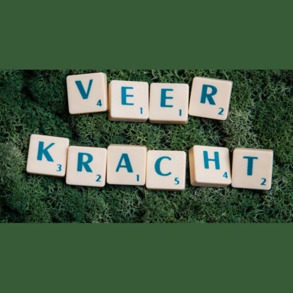 Een traject van veerkracht en groei 